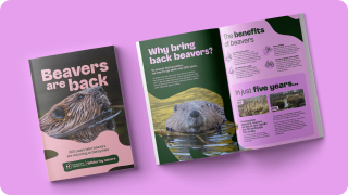 Derbyshire Wildlife Trust beaver booklet
